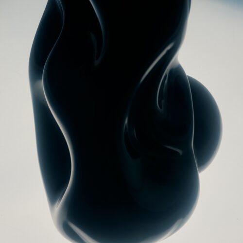 DTS_Shadow Tech_by Fanette Guilloud_14